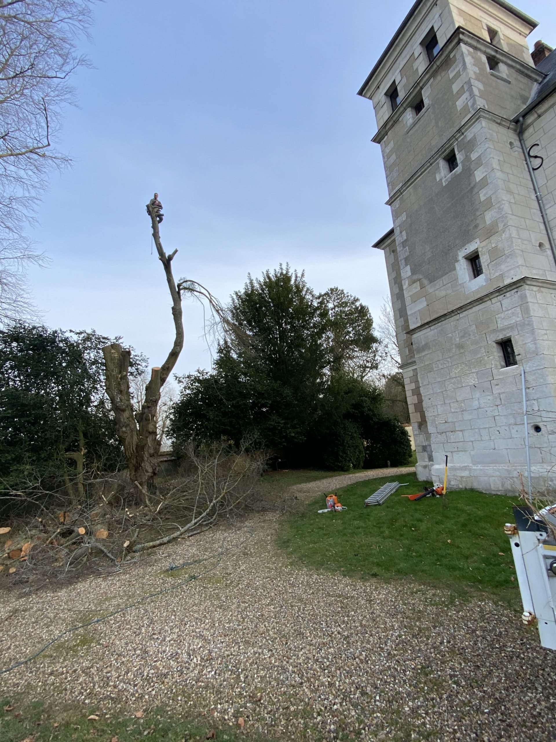 arbre elagage saint marcel