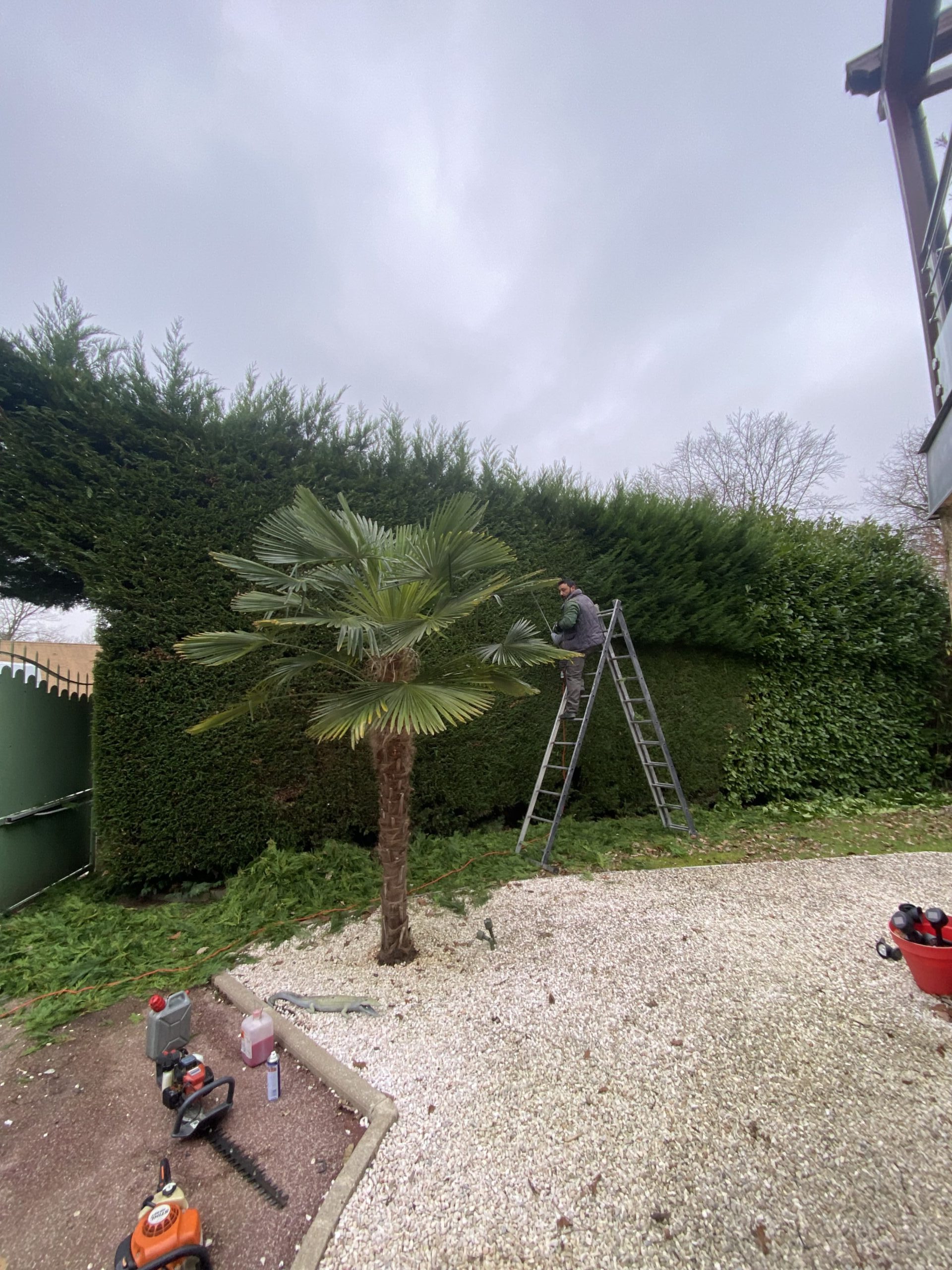 taille de haie à vernon