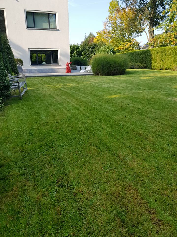 tonte de pelouse à Rouen