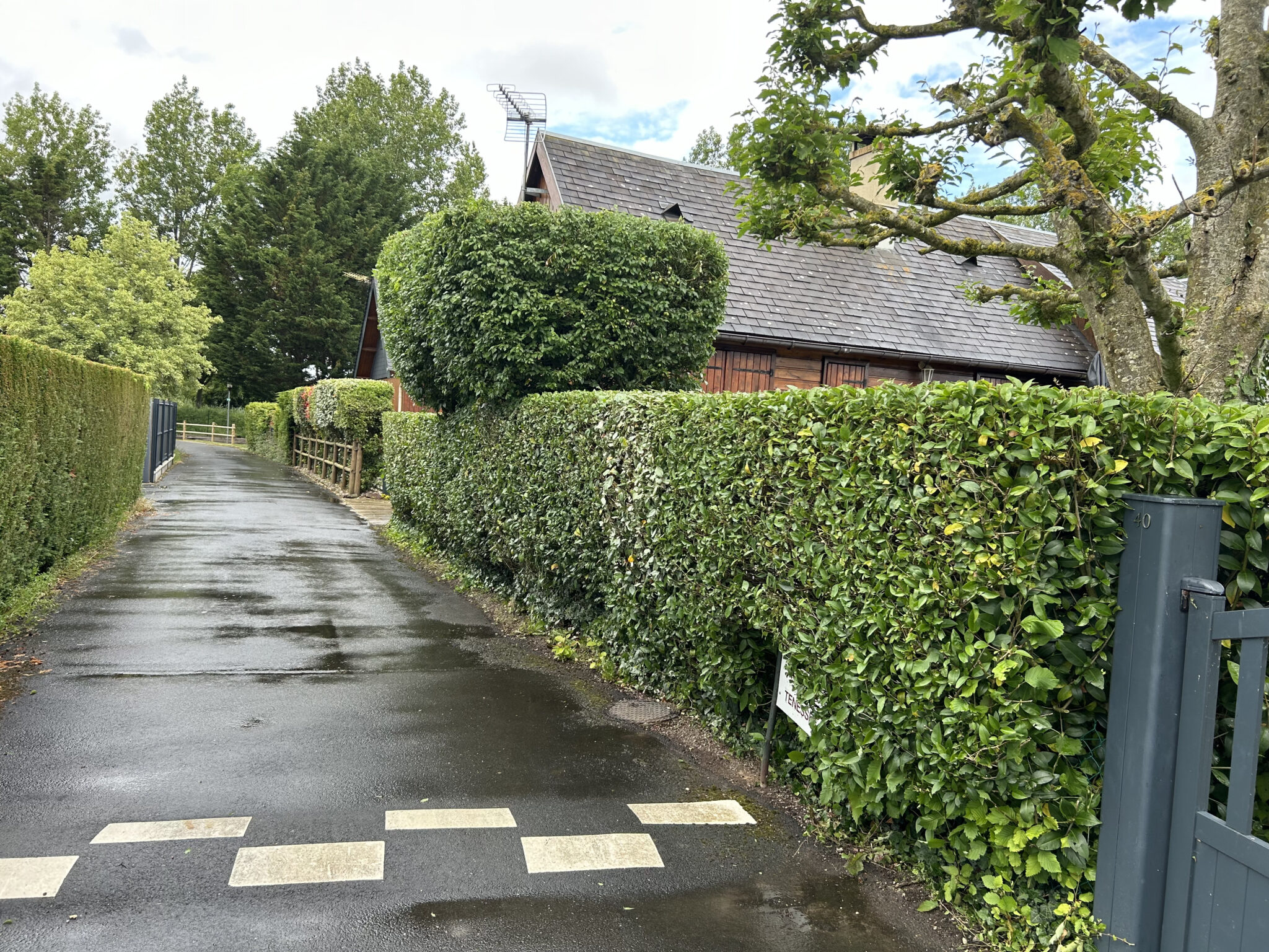 intervention taille de haie la chapelle-longueville